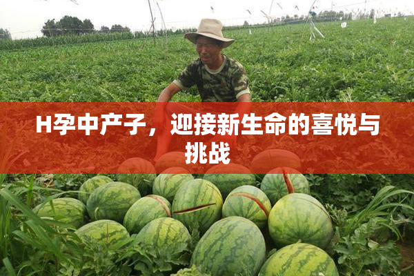 H孕中产子，迎接新生命的喜悦与挑战