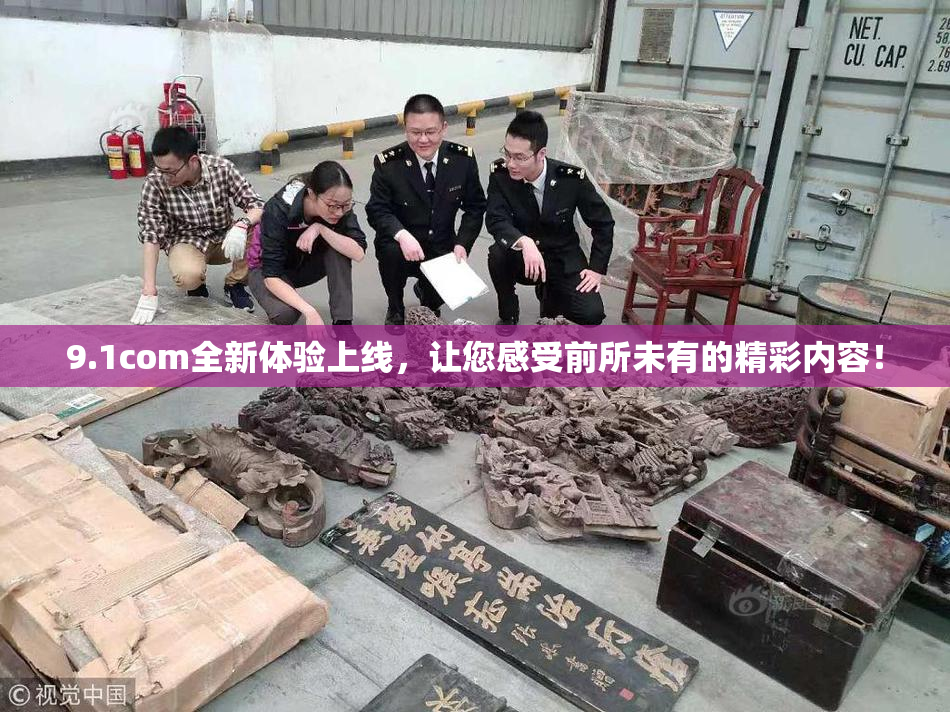 9.1com全新体验上线，让您感受前所未有的精彩内容！