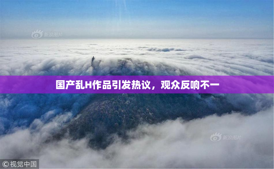 国产乱H作品引发热议，观众反响不一