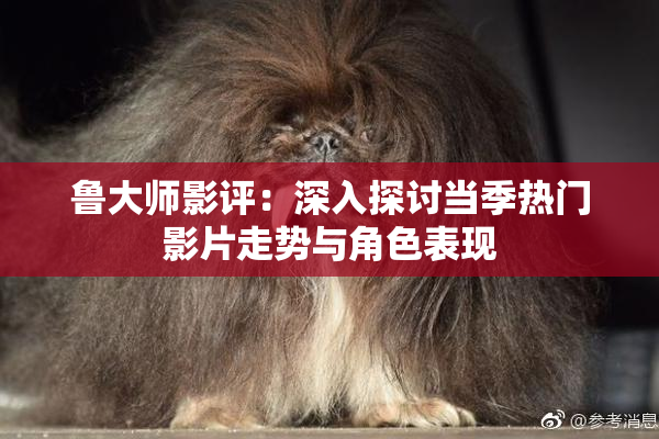 鲁大师影评：深入探讨当季热门影片走势与角色表现