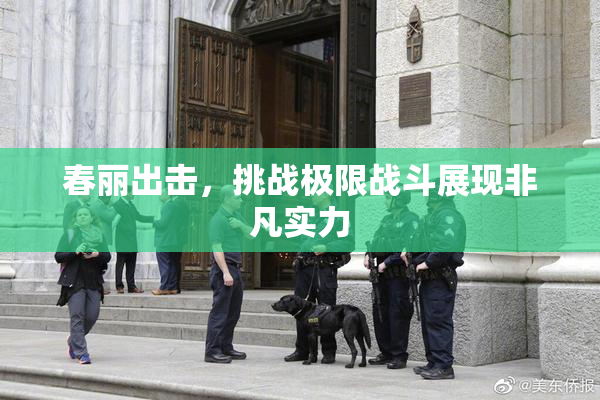 春丽出击，挑战极限战斗展现非凡实力