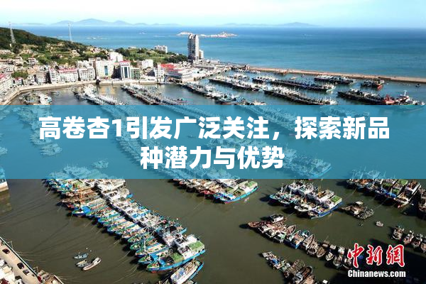 高卷杏1引发广泛关注，探索新品种潜力与优势