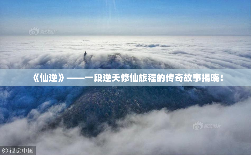 《仙逆》——一段逆天修仙旅程的传奇故事揭晓！