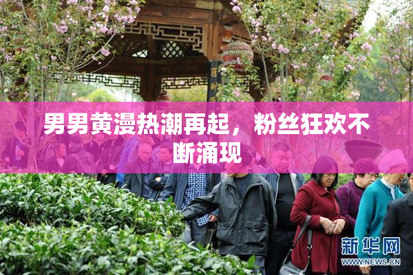 男男黄漫热潮再起，粉丝狂欢不断涌现
