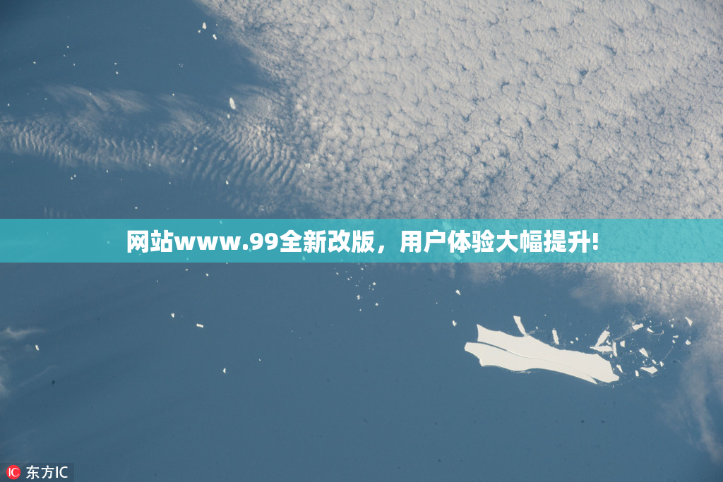 网站www.99全新改版，用户体验大幅提升!