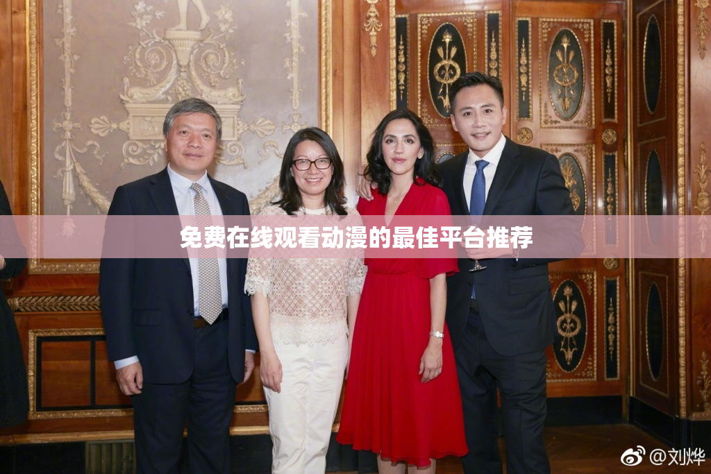 免费在线观看动漫的最佳平台推荐