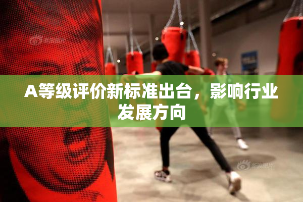 A等级评价新标准出台，影响行业发展方向