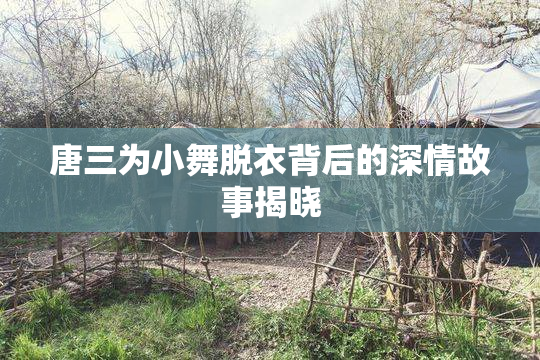 唐三为小舞脱衣背后的深情故事揭晓