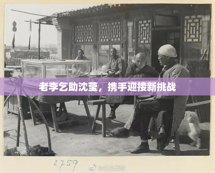 老李乞助沈莹，携手迎接新挑战
