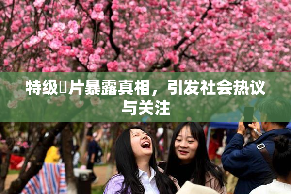特级婬片暴露真相，引发社会热议与关注
