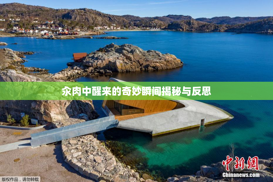 汆肉中醒来的奇妙瞬间揭秘与反思