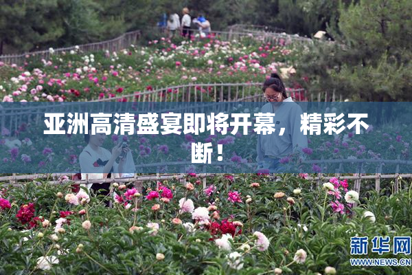 亚洲高清盛宴即将开幕，精彩不断！