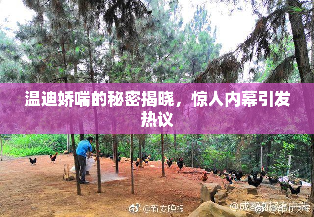 温迪娇喘的秘密揭晓，惊人内幕引发热议