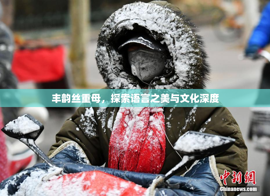 丰韵丝重母，探索语言之美与文化深度