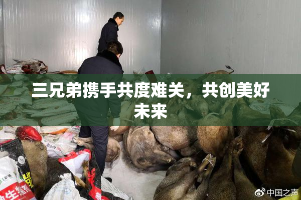 三兄弟携手共度难关，共创美好未来