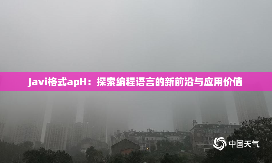 Javi格式apH：探索编程语言的新前沿与应用价值