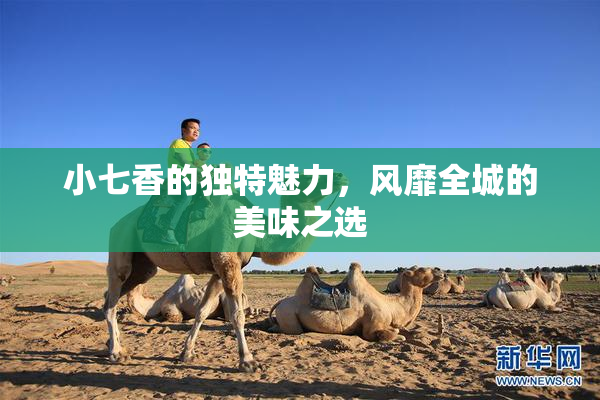 小七香的独特魅力，风靡全城的美味之选