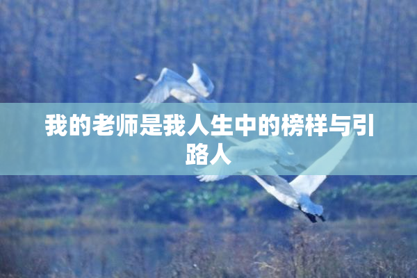 我的老师是我人生中的榜样与引路人