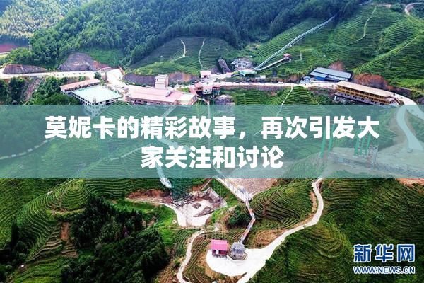 莫妮卡的精彩故事，再次引发大家关注和讨论