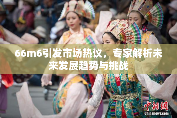 66m6引发市场热议，专家解析未来发展趋势与挑战