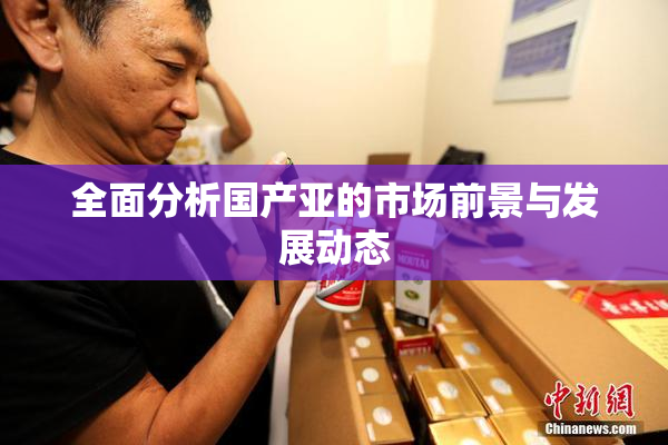 全面分析国产亚的市场前景与发展动态