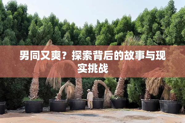 男同又爽？探索背后的故事与现实挑战