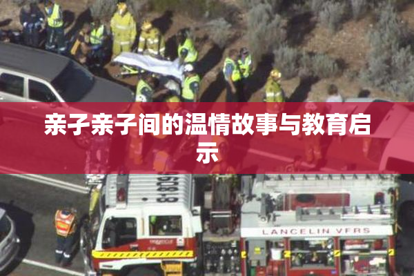 亲孑亲子间的温情故事与教育启示