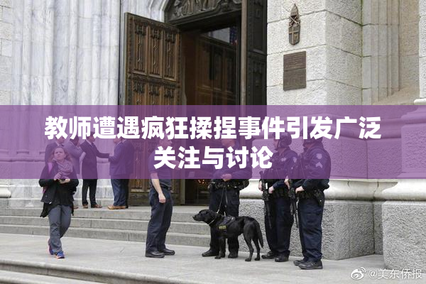 教师遭遇疯狂揉捏事件引发广泛关注与讨论