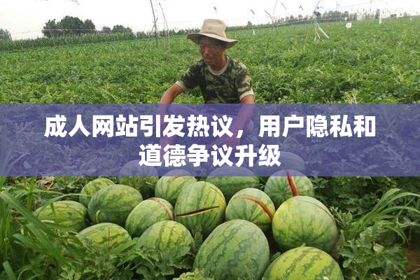 成人网站引发热议，用户隐私和道德争议升级