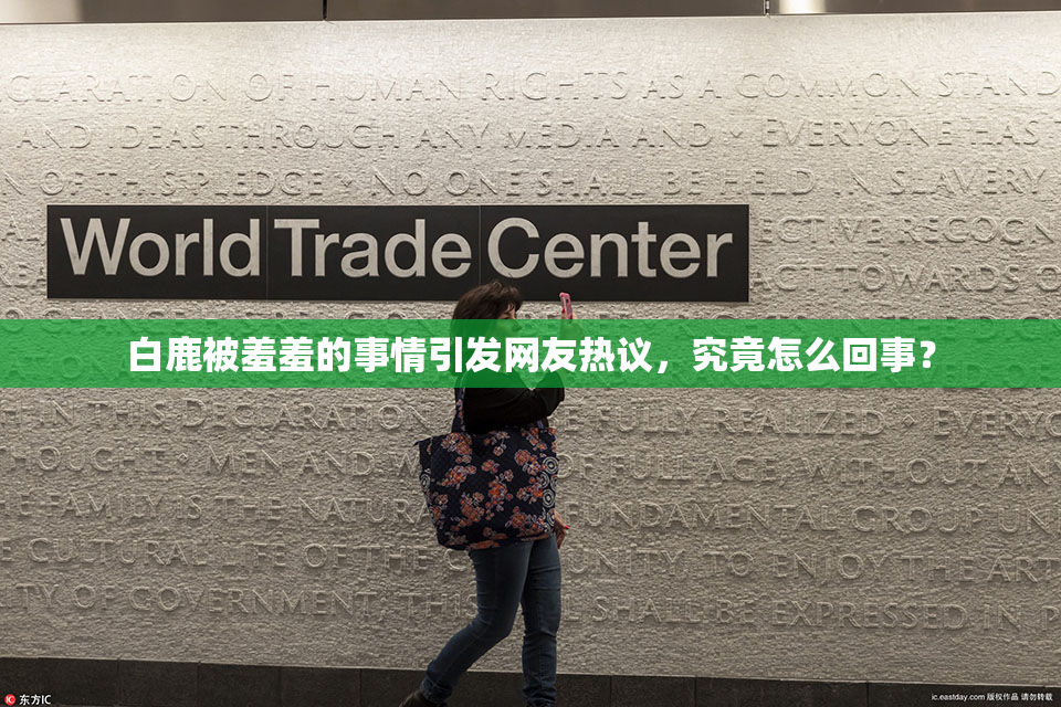 白鹿被羞羞的事情引发网友热议，究竟怎么回事？