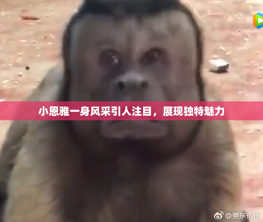 小恩雅一身风采引人注目，展现独特魅力