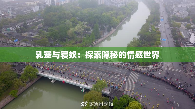乳宠与寝奴：探索隐秘的情感世界
