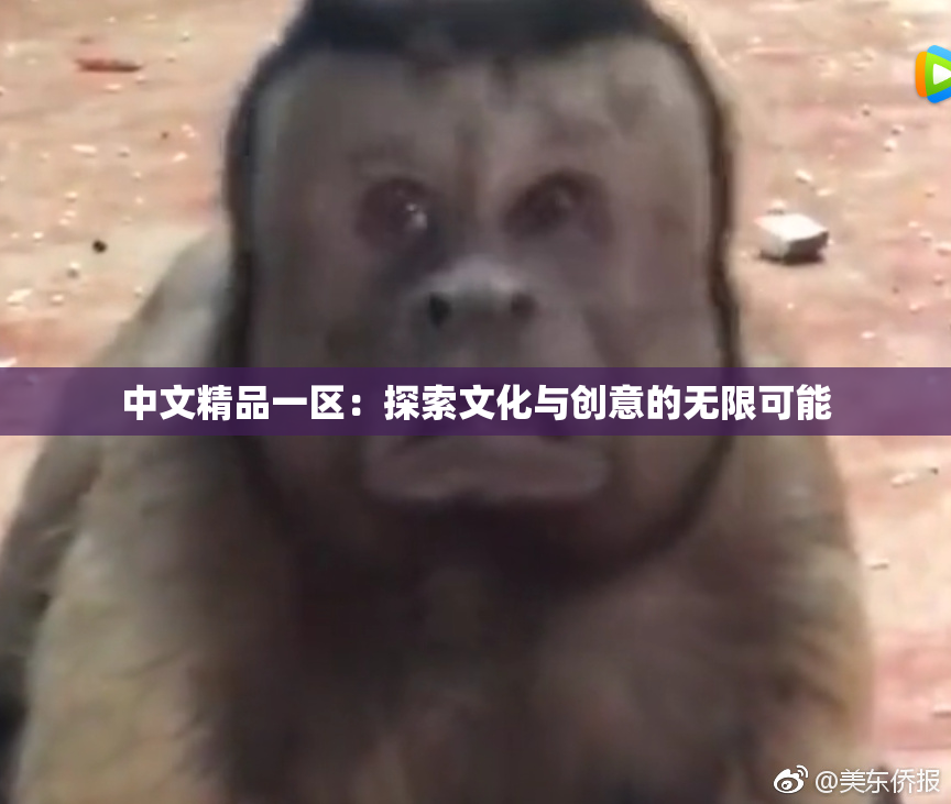 中文精品一区：探索文化与创意的无限可能