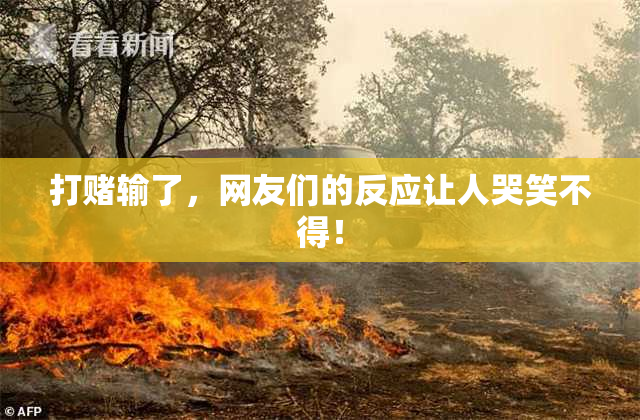 打赌输了，网友们的反应让人哭笑不得！
