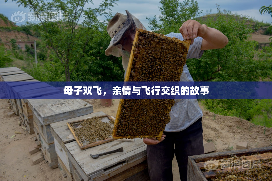 母子双飞，亲情与飞行交织的故事