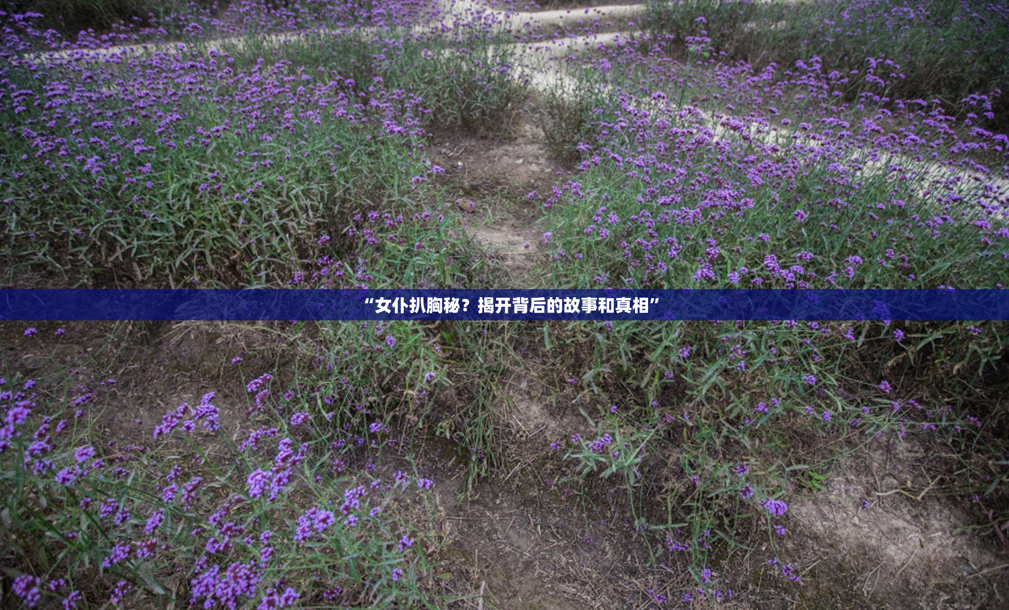 “女仆扒胸秘？揭开背后的故事和真相”