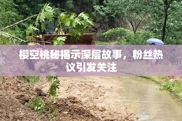 樱空桃秘揭示深层故事，粉丝热议引发关注