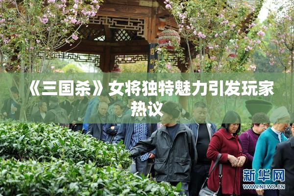 《三国杀》女将独特魅力引发玩家热议