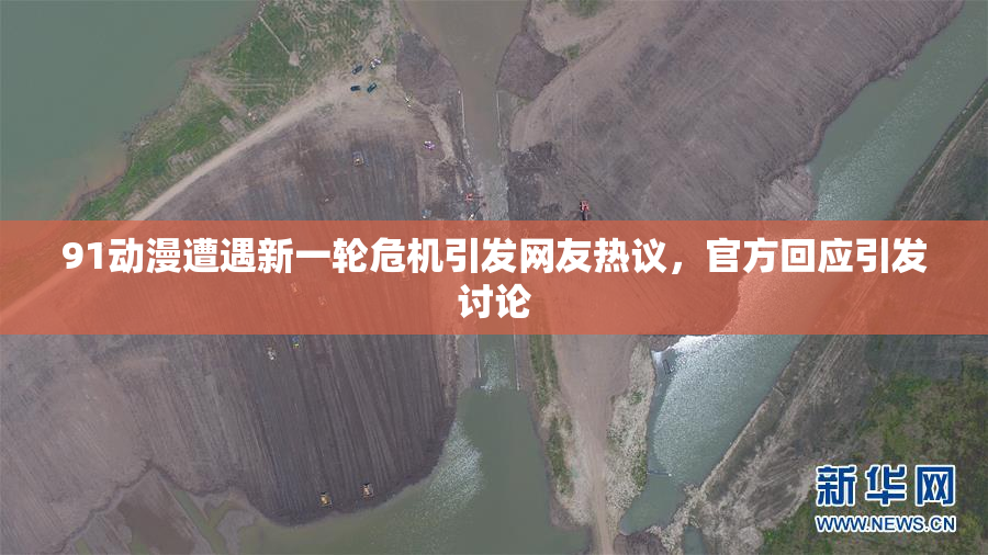 91动漫遭遇新一轮危机引发网友热议，官方回应引发讨论