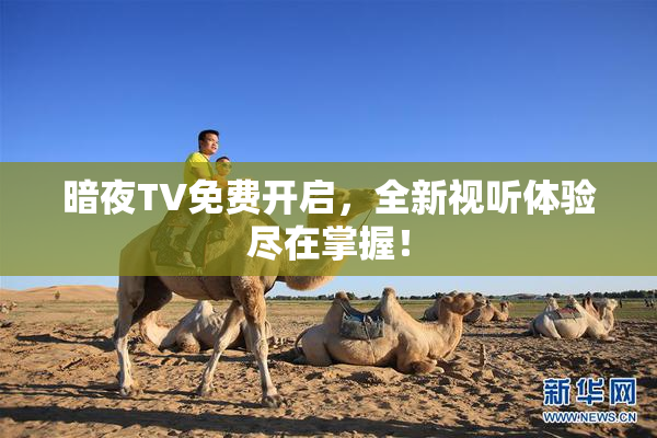 暗夜TV免费开启，全新视听体验尽在掌握！