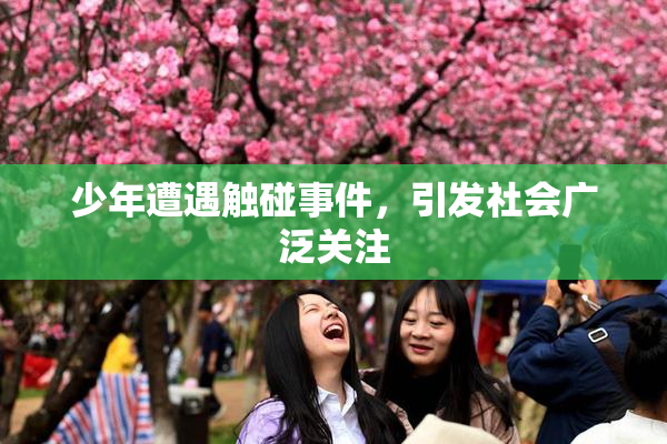少年遭遇触碰事件，引发社会广泛关注