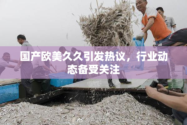 国产欧美久久引发热议，行业动态备受关注
