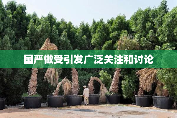 国严做受引发广泛关注和讨论