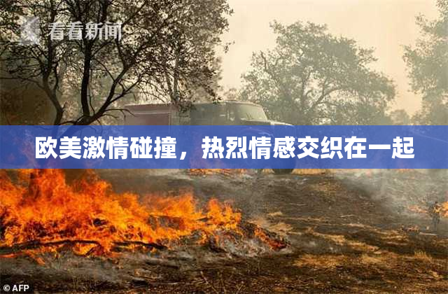 欧美激情碰撞，热烈情感交织在一起