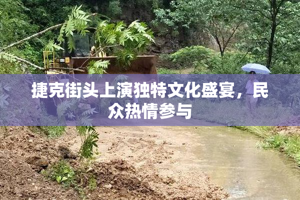 捷克街头上演独特文化盛宴，民众热情参与