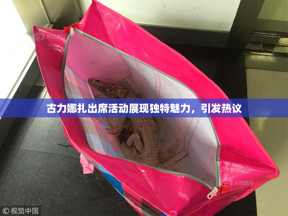 古力娜扎出席活动展现独特魅力，引发热议