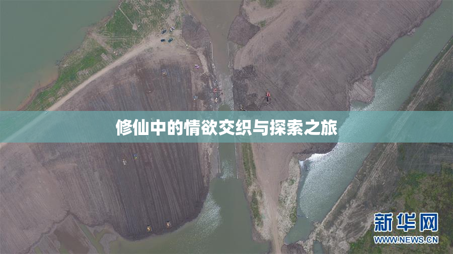 修仙中的情欲交织与探索之旅