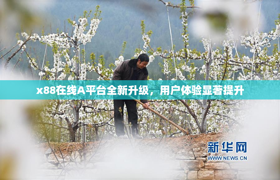 x88在线A平台全新升级，用户体验显著提升