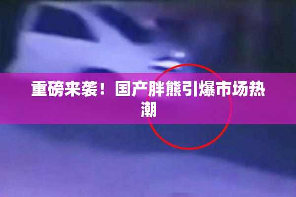 重磅来袭！国产胖熊引爆市场热潮