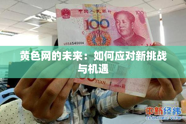 黄色网的未来：如何应对新挑战与机遇